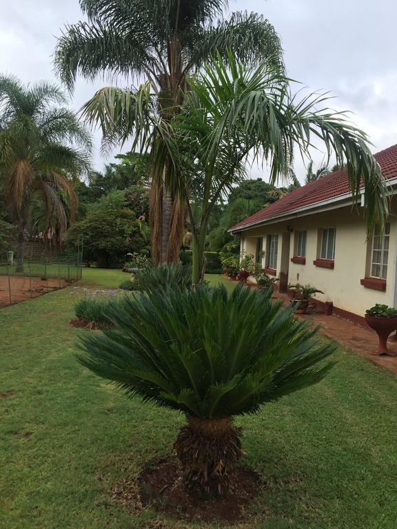 Palm Villa Harare Exteriér fotografie